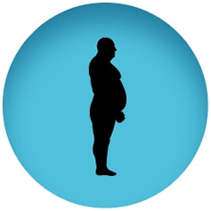 icon-body-fat