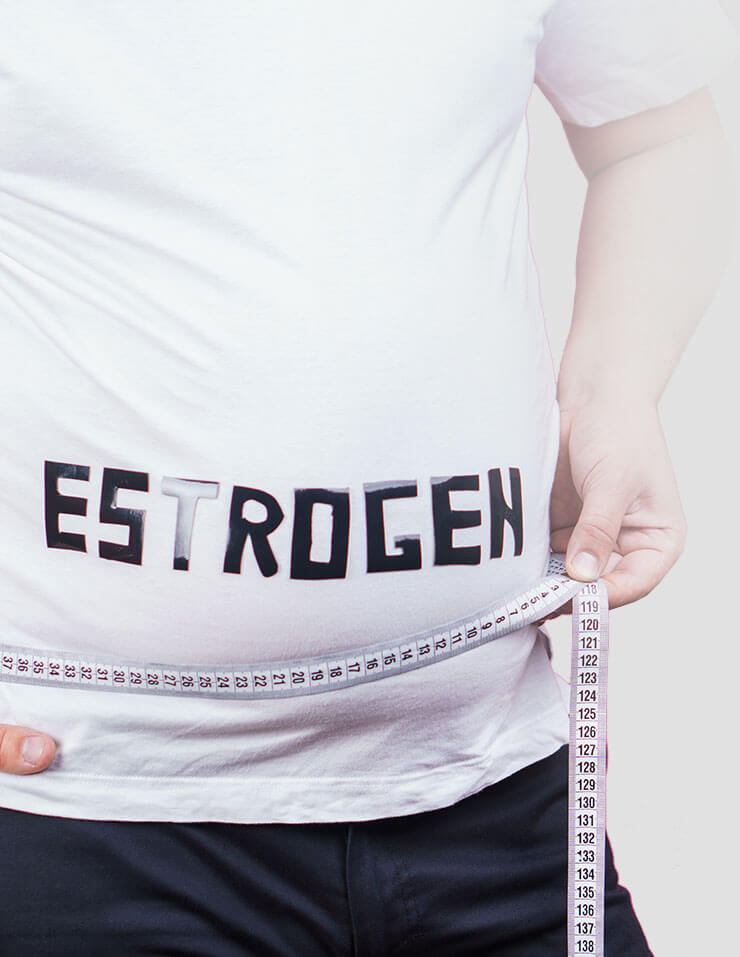 Estrogen in men